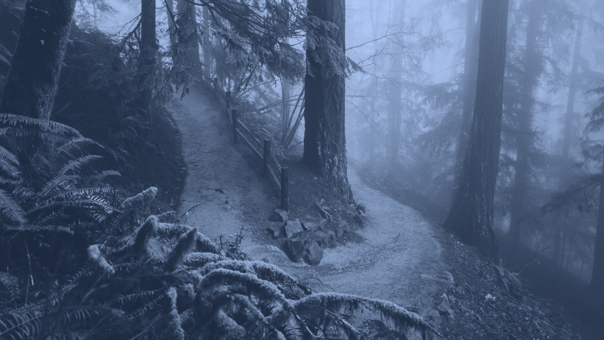 strategic data platform roadmap